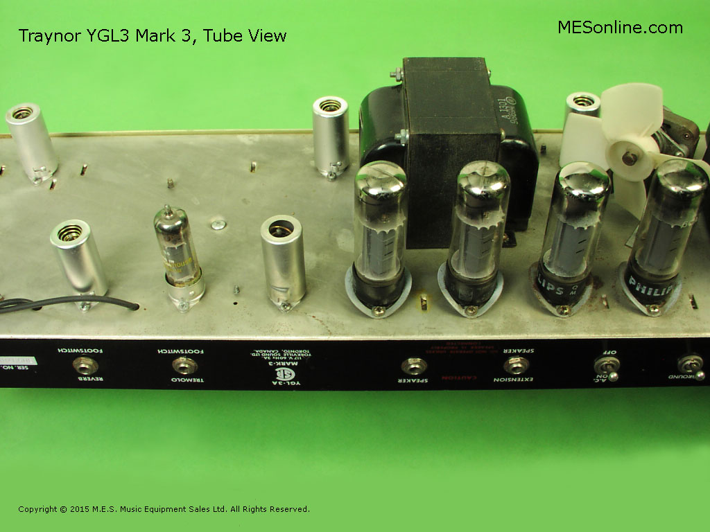 1968 Traynor YSR-1 Custom Reverb Tube Amp, image #5